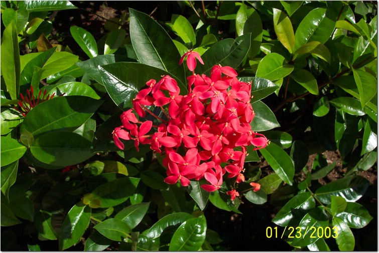 100_0104.jpg