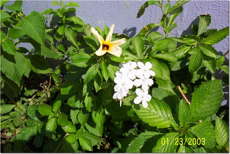 100_0107.jpg