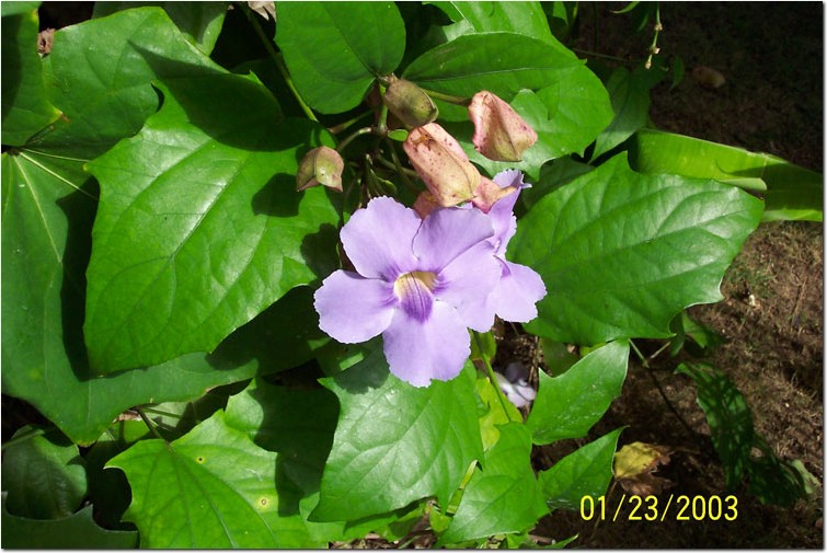 100_0114.jpg