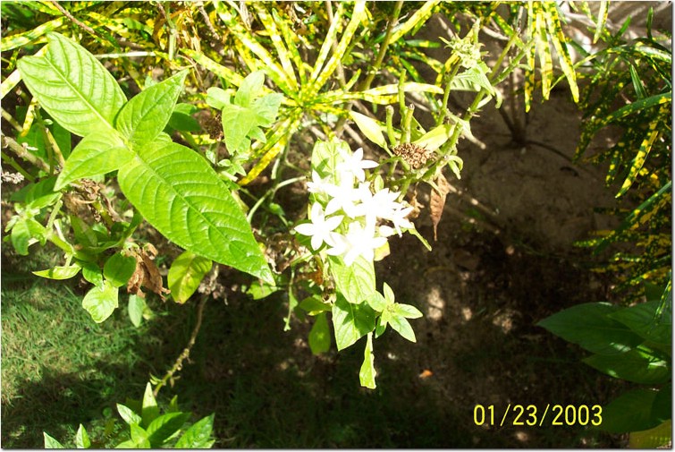 100_0115.jpg