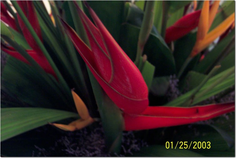 100_0211.jpg