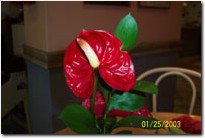 100_0176.jpg