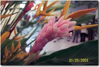 100_0210.jpg
